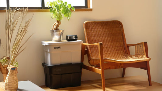 Declutter with Style: Keep Your Closet &amp; Home Organized with THOR Storage Box
