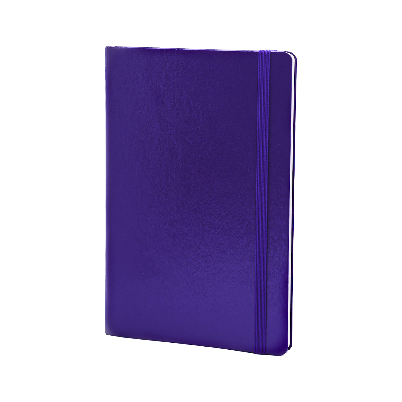 Journals (172 ruled pages)